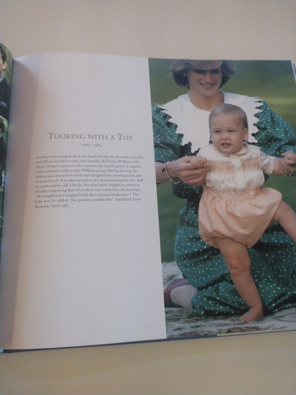 Diana Portrait of a Princess Hardcover Art Book - Purple & Blue Cover - Picture 9 of 15